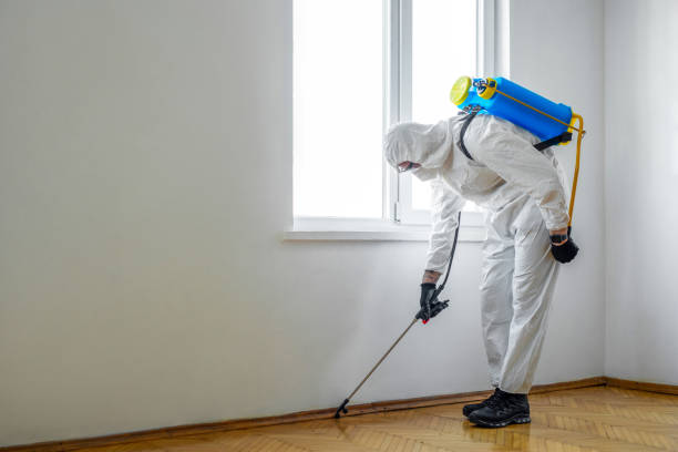 Best Affordable Pest Control Services  in Richland, MS